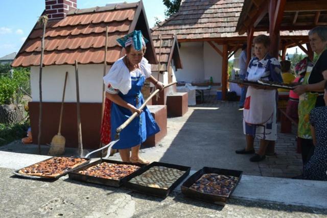 Elizabeth Cottage Benczurfalva Szécsény Zewnętrze zdjęcie